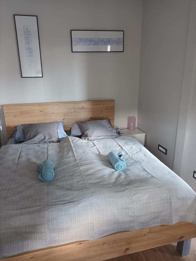 New - Frendly Luxury Apartment Franka 萨格勒布 外观 照片